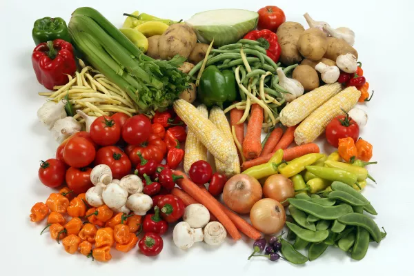 В Костромской области планируется создание логистического центра по хранению и упаковке овощей