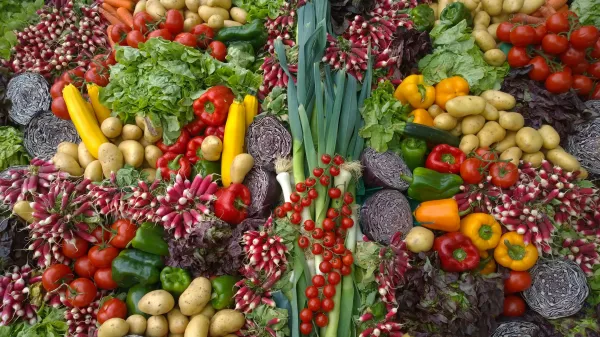 Костромские аграрии расширяют мощности для хранения овощной продукции